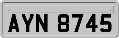 AYN8745