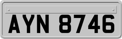AYN8746