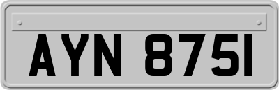AYN8751
