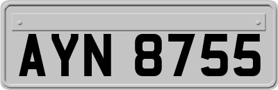 AYN8755