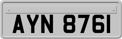 AYN8761
