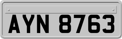 AYN8763