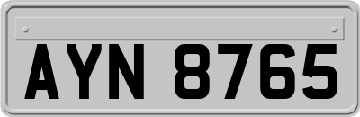 AYN8765