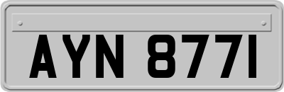 AYN8771