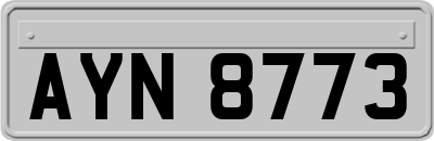 AYN8773