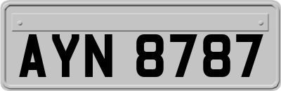 AYN8787