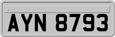 AYN8793