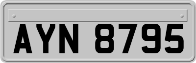 AYN8795