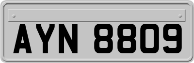 AYN8809