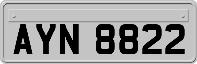 AYN8822