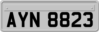 AYN8823