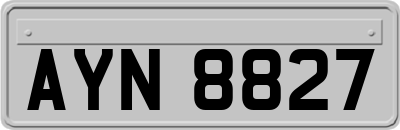 AYN8827