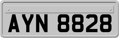 AYN8828