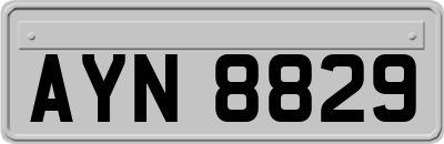 AYN8829