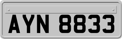 AYN8833