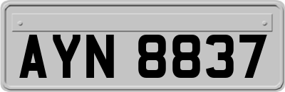 AYN8837