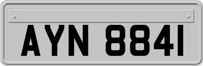 AYN8841