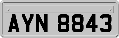 AYN8843