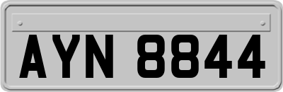 AYN8844
