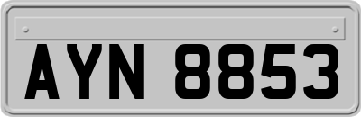 AYN8853