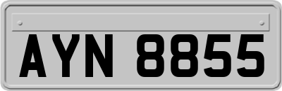 AYN8855