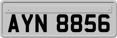 AYN8856