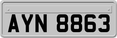 AYN8863