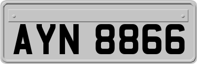 AYN8866