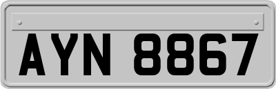 AYN8867