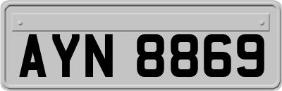 AYN8869