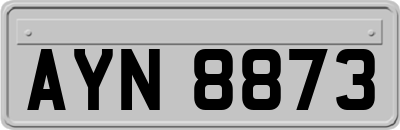 AYN8873