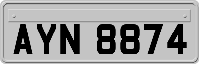 AYN8874