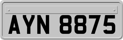 AYN8875
