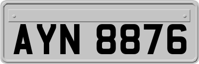 AYN8876