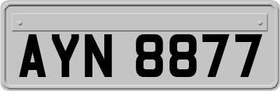 AYN8877