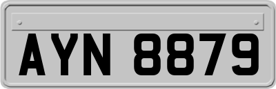AYN8879