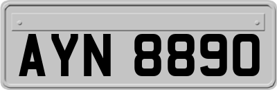 AYN8890