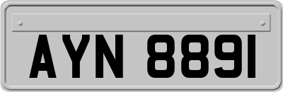 AYN8891