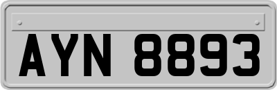 AYN8893