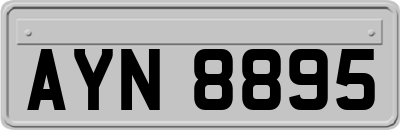AYN8895