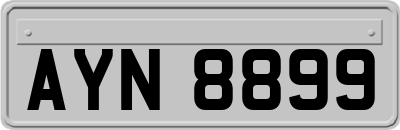 AYN8899