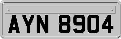 AYN8904
