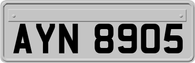 AYN8905