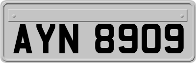 AYN8909