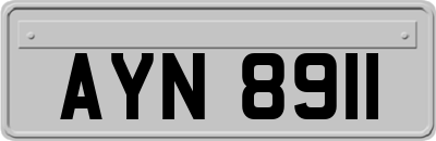 AYN8911