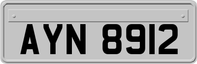 AYN8912