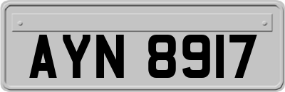 AYN8917