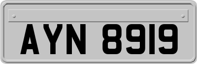 AYN8919