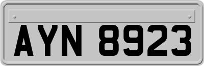 AYN8923