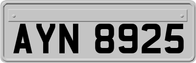 AYN8925